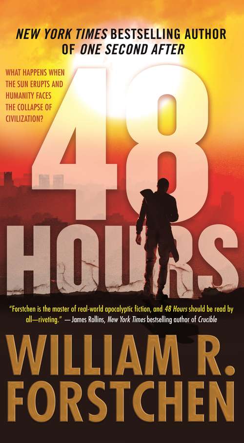 Book cover of 48 Hours: A Novel