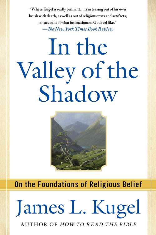 Book cover of In the Valley of the Shadow: On the Foundations of Religious Belief