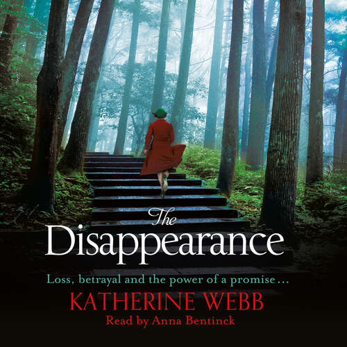 Book cover of The Disappearance
