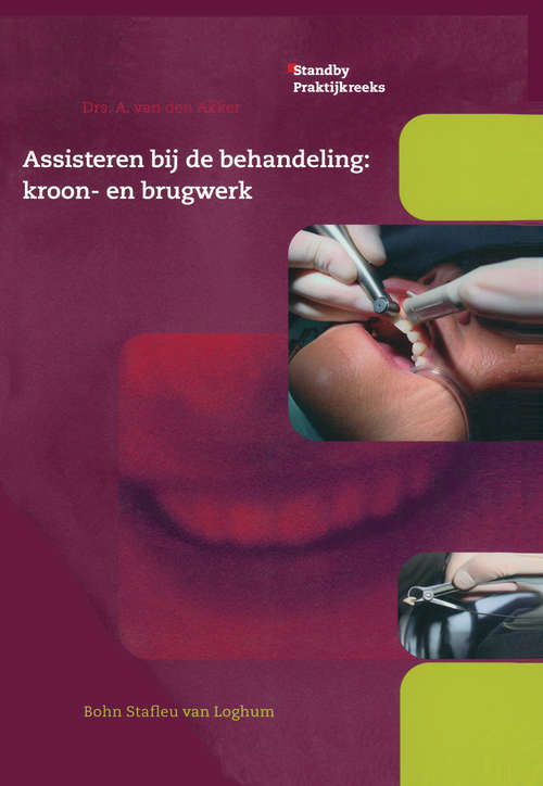 Book cover of Assisteren bij de behandeling: kroon- en brugwerk