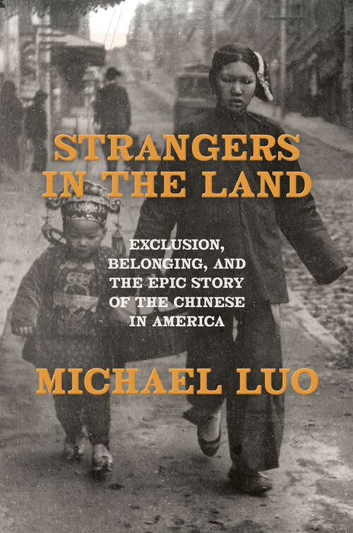 Book cover of Strangers in the Land: Exclusion, Belonging, and the Epic Story of the Chinese in America