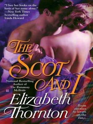 Book cover of The Scot and I