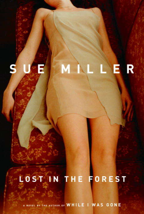 Book cover of Lost in the Forest