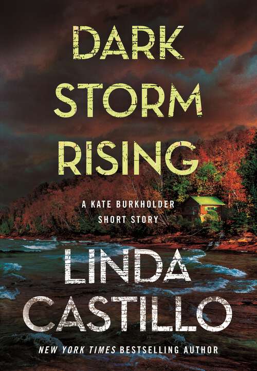 Book cover of Dark Storm Rising