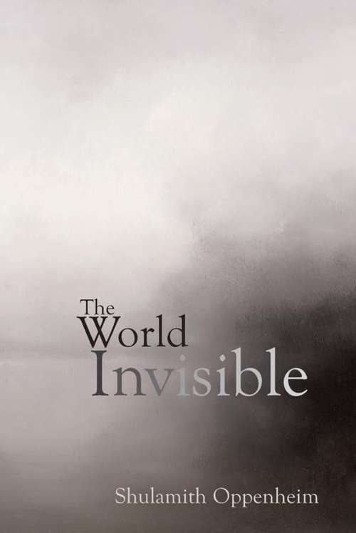 Book cover of The World Invisible