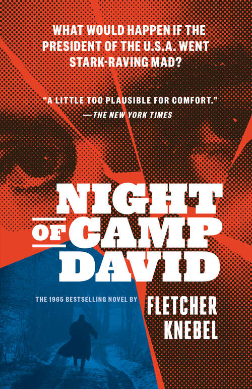 Book cover of Night of Camp David
