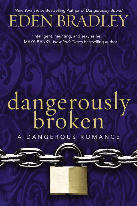 Book cover of Dangerously Broken
