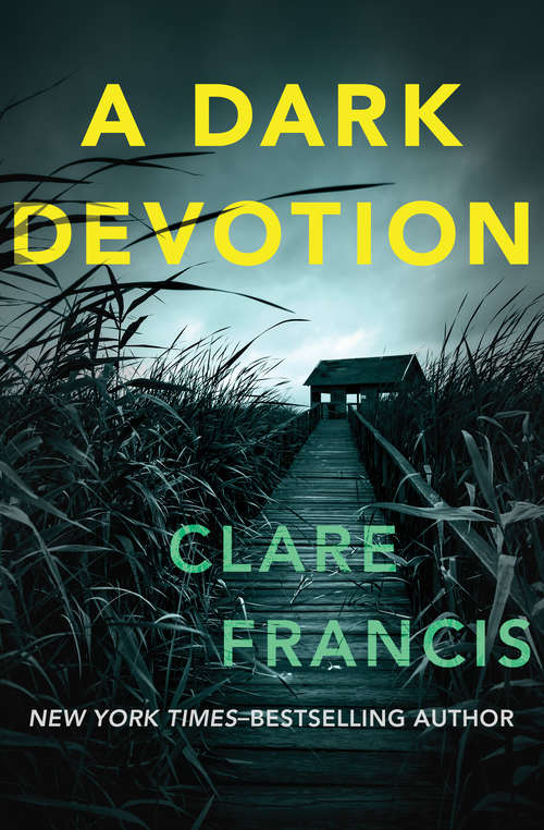 Book cover of A Dark Devotion