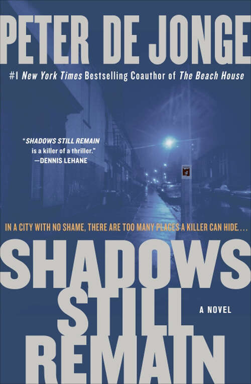 Book cover of Shadows Still Remain