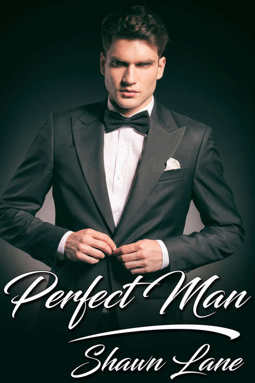 Book cover of Perfect Man