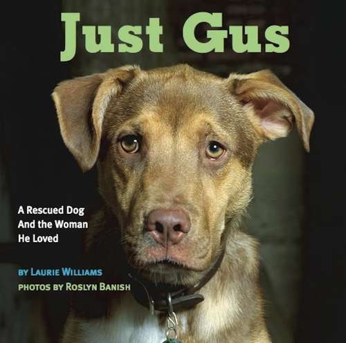 Book cover of Just Gus