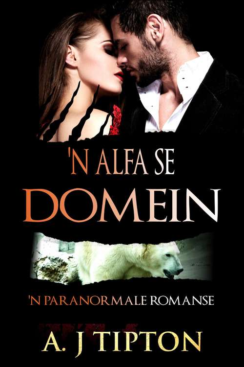 Book cover of 'n Alfa se Domein