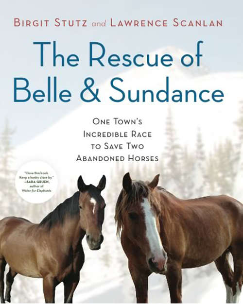 Book cover of The Rescue of Belle and Sundance: One Town's Incredible Race to Save Two Abandoned Horses (A Merloyd Lawrence Book)