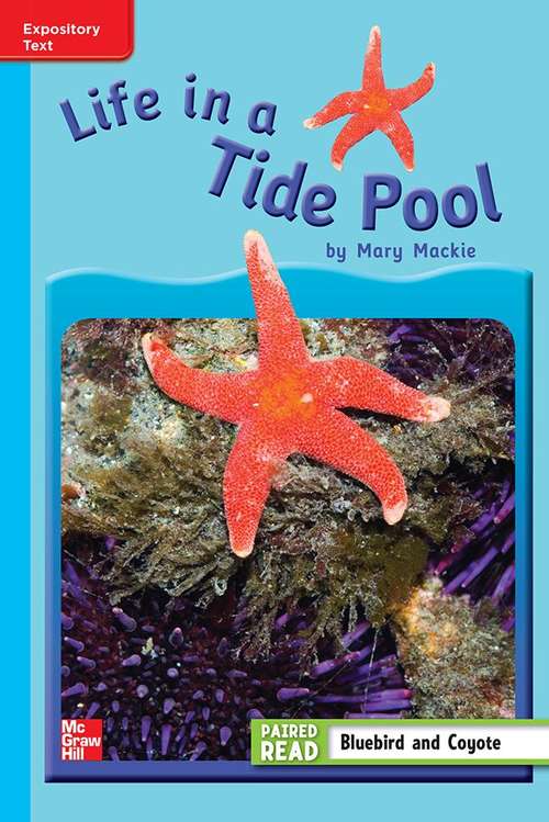 Book cover of Life in a Tide Pool [On Level, Grade 3]