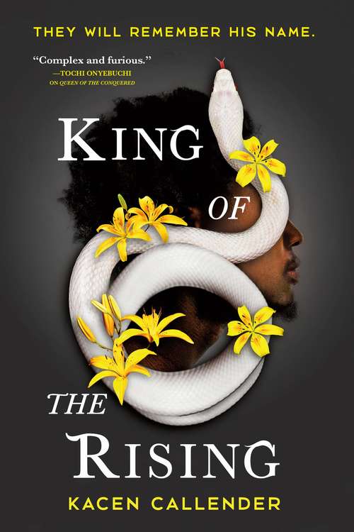 Book cover of King of the Rising (Islands of Blood and Storm #2)