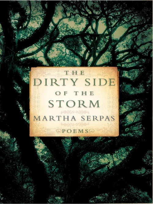Book cover of The Dirty Side of the Storm: Poems