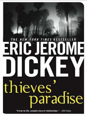 Book cover of Thieves' Paradise