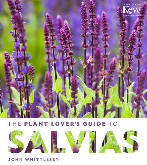 Book cover of The Plant Lover's Guide to Salvias (The Plant Lover’s Guides)