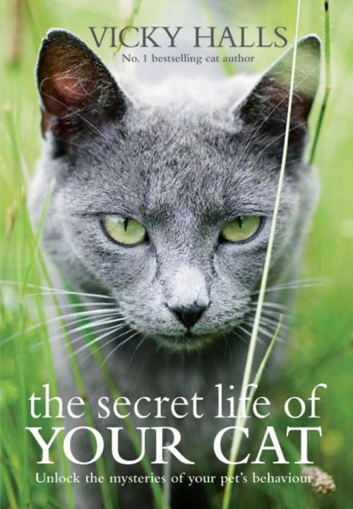 Book cover of The Secret Life of Your Cat: The Visual Guide to All Your Cats Behaviour