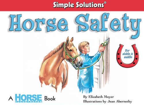 Book cover of Horse Safety