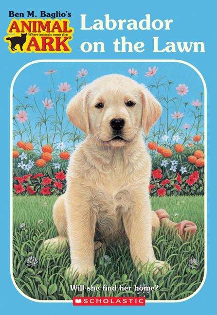 Book cover of Labrador on the Lawn (Animal Ark #38)
