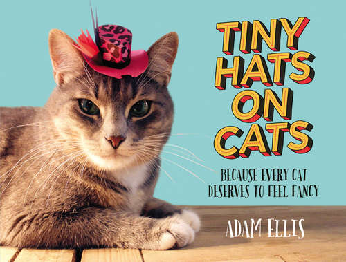Book cover of Tiny Hats on Cats: Because Every Cat Deserves to Feel Fancy
