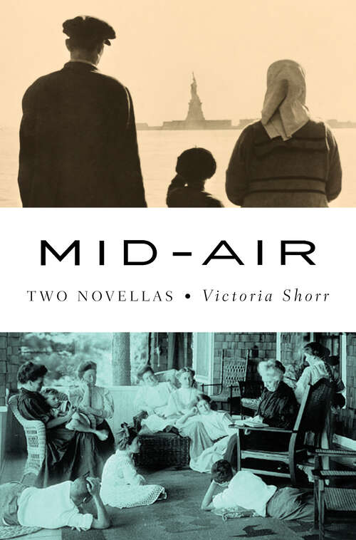 Book cover of Mid-Air: Two Novellas