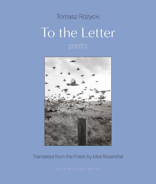 Book cover of To the Letter: Poems