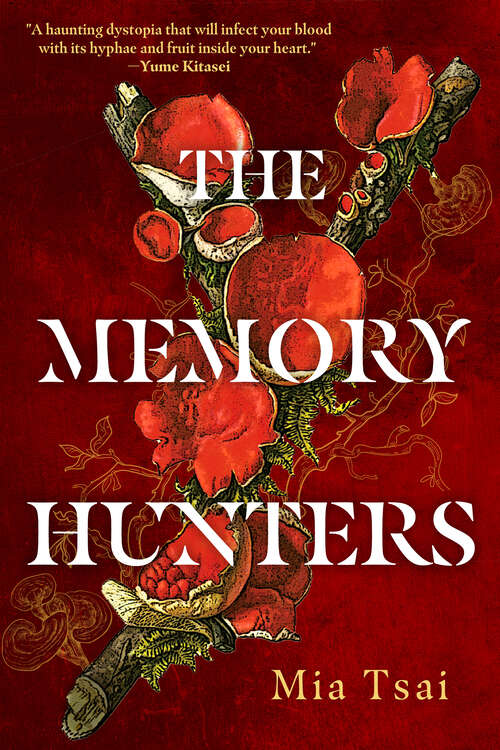 Book cover of The Memory Hunters (The Consecrated)