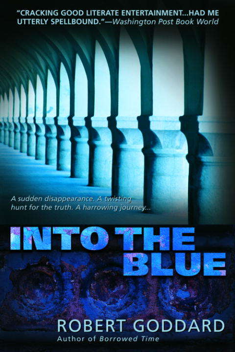 Book cover of Into the Blue (Harry Barnett #1)