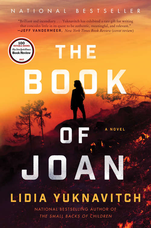 Book cover of The Book of Joan: A Novel
