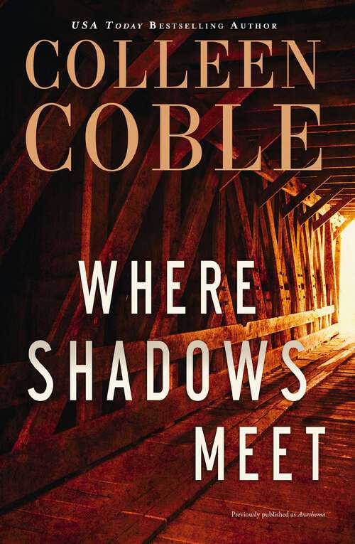 Book cover of Where Shadows Meet: A Romantic Suspense Novel