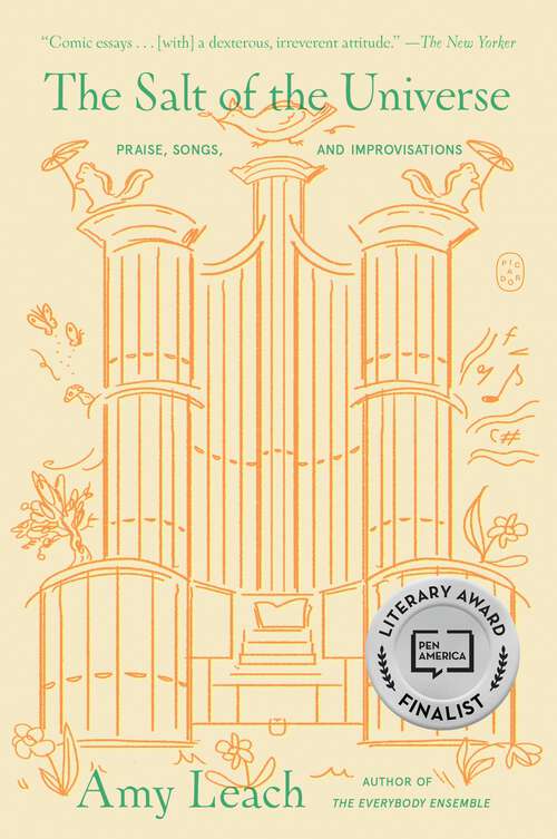 Book cover of The Salt of the Universe: Praise, Songs, and Improvisations