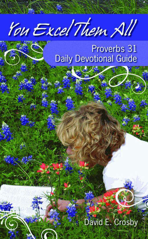 Book cover of You Excel Them All: Proverbs 31 Daily Devotional Guide