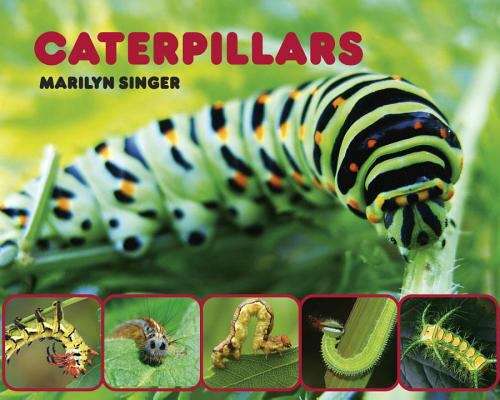 Book cover of Caterpillars