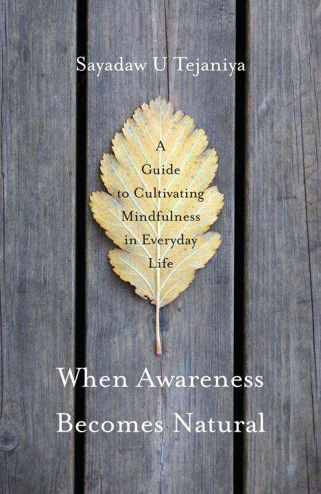 Book cover of When Awareness Becomes Natural