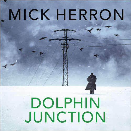 Book cover of Dolphin Junction
