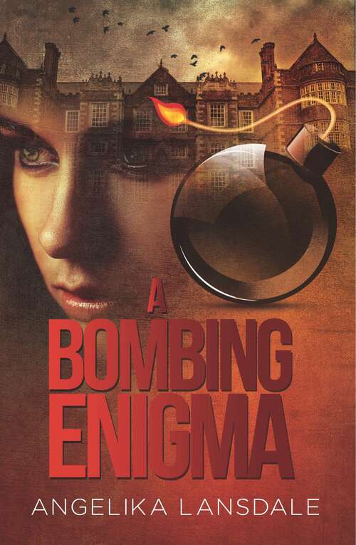 Book cover of A Bombing Enigma