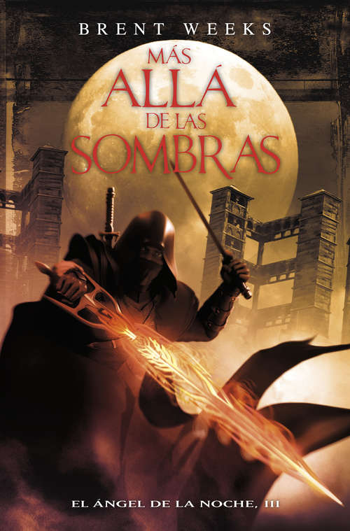 Book cover of Más allá de las sombras (El Ángel de la Noche #3)