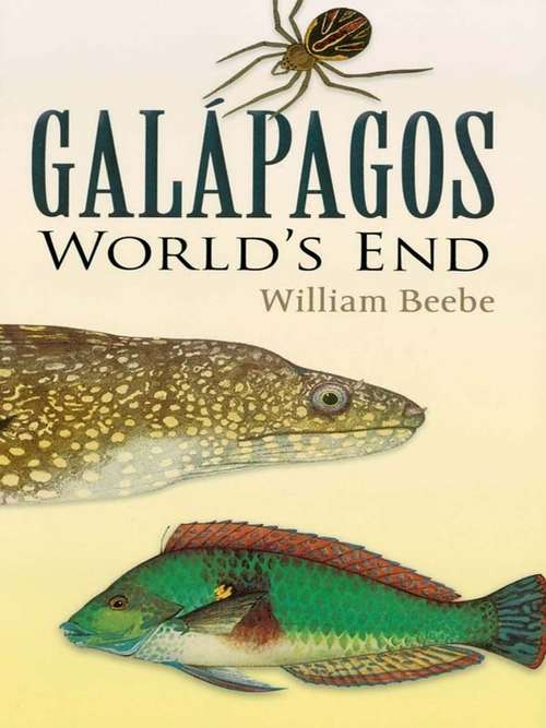 Book cover of Galapagos: World's End