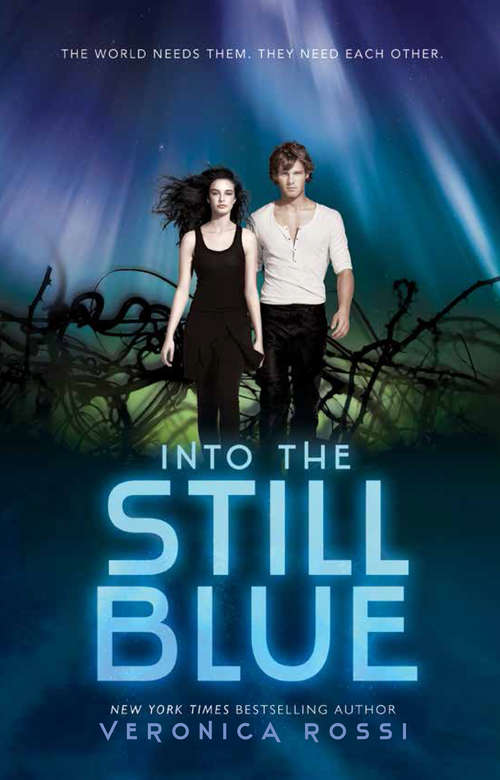 Book cover of Into the Still Blue