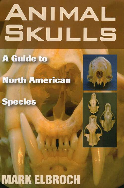 Book cover of Animal Skulls