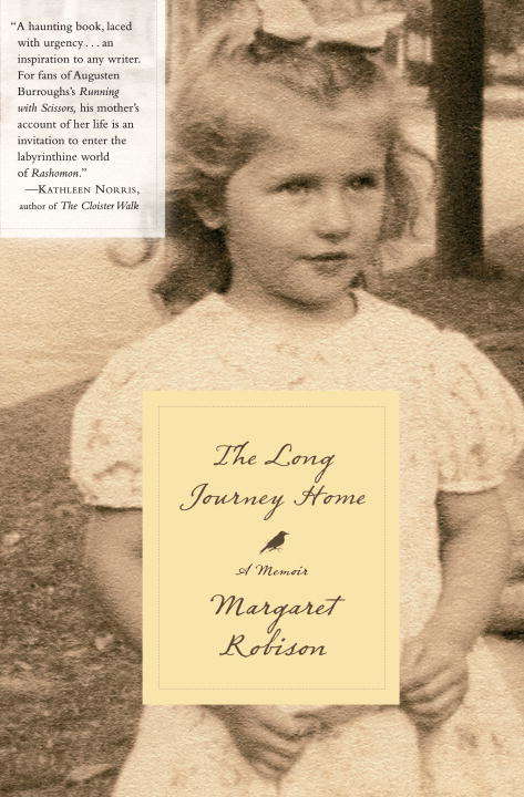 Book cover of The Long Journey Home