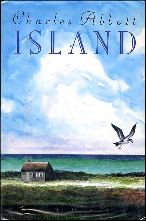 Book cover of Island