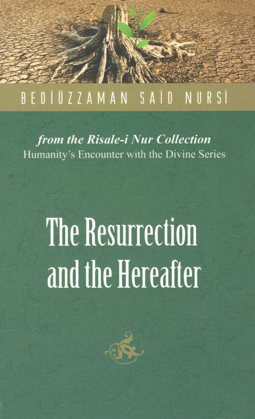 Book cover of Resurrection And The Hereafter