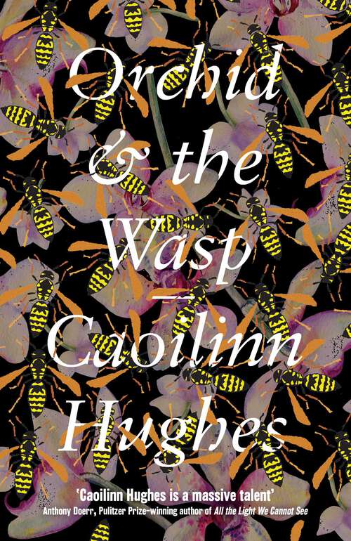 Book cover of Orchid & the Wasp: A Novel