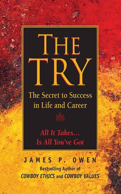 Book cover of The Try: The Secret to Success in Life and Career