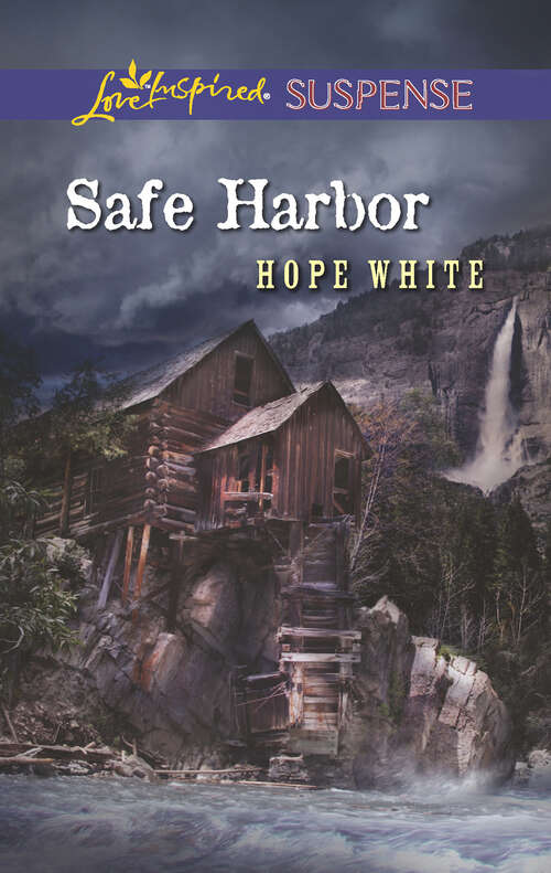 Book cover of Safe Harbor