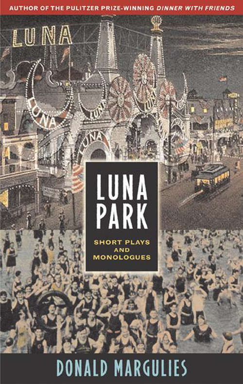 Book cover of Luna Park