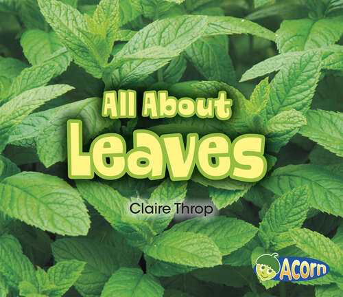 Book cover of All About Leaves (All About Plants Ser.)
